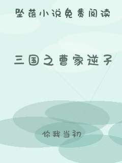 三国之曹家逆子